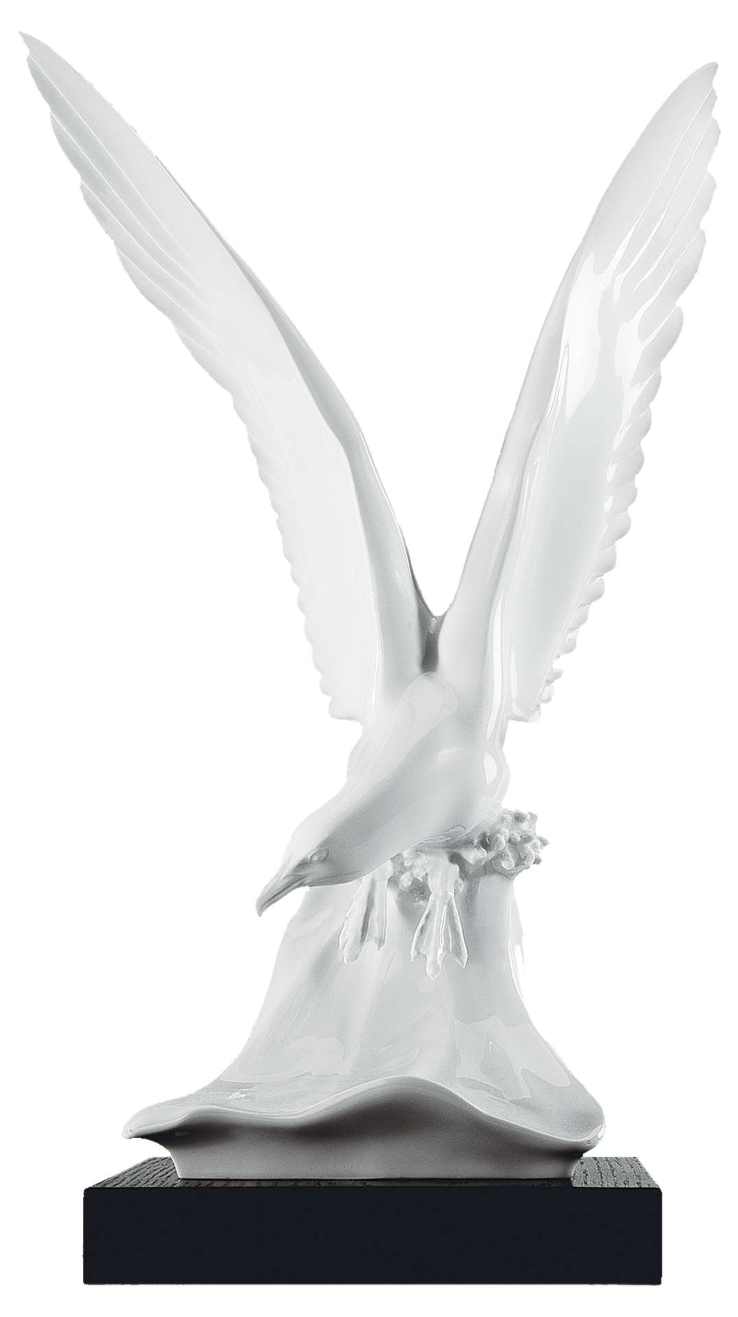 Seagull,white