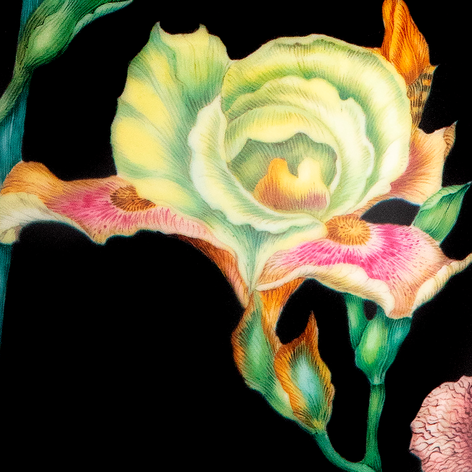 LIMITED MASTERWORKS VASE, IRIS WITH BUTTERFLIES