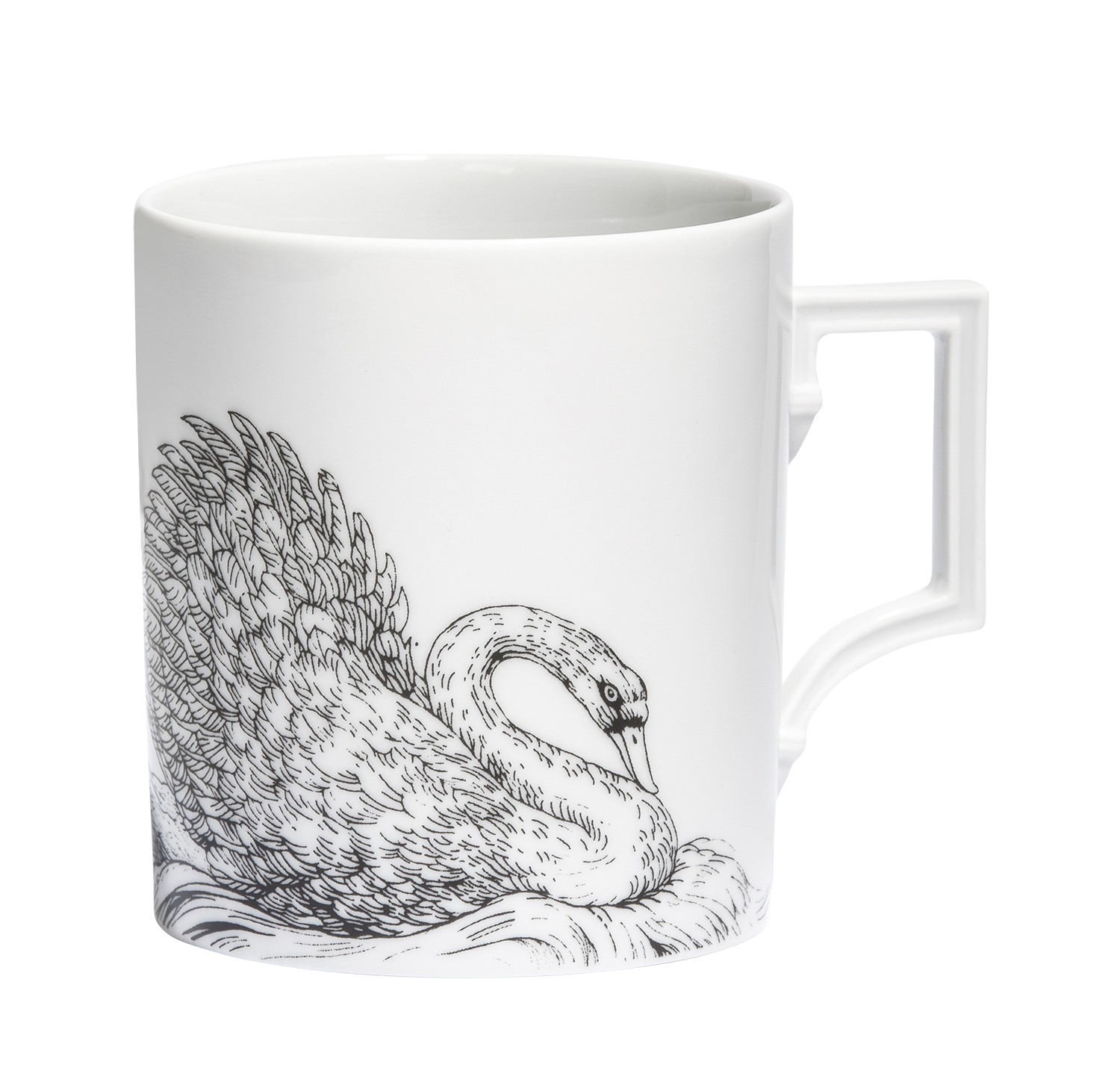 Swan 스완