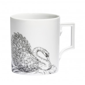 Swan 스완