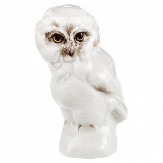 YOUNG ANIMALS OWLET